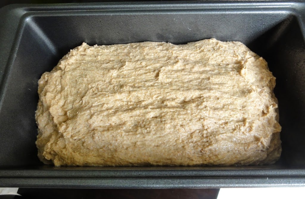 dough in a loaf pan