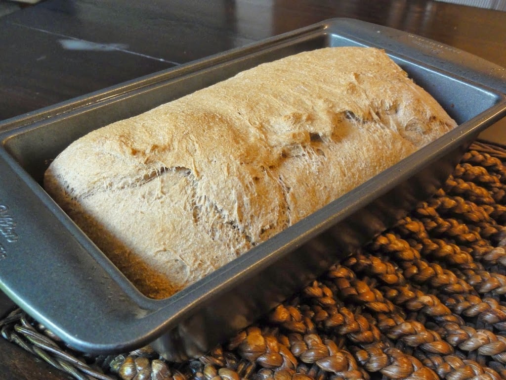 freshly baked Whole Wheat Sandwich Bread