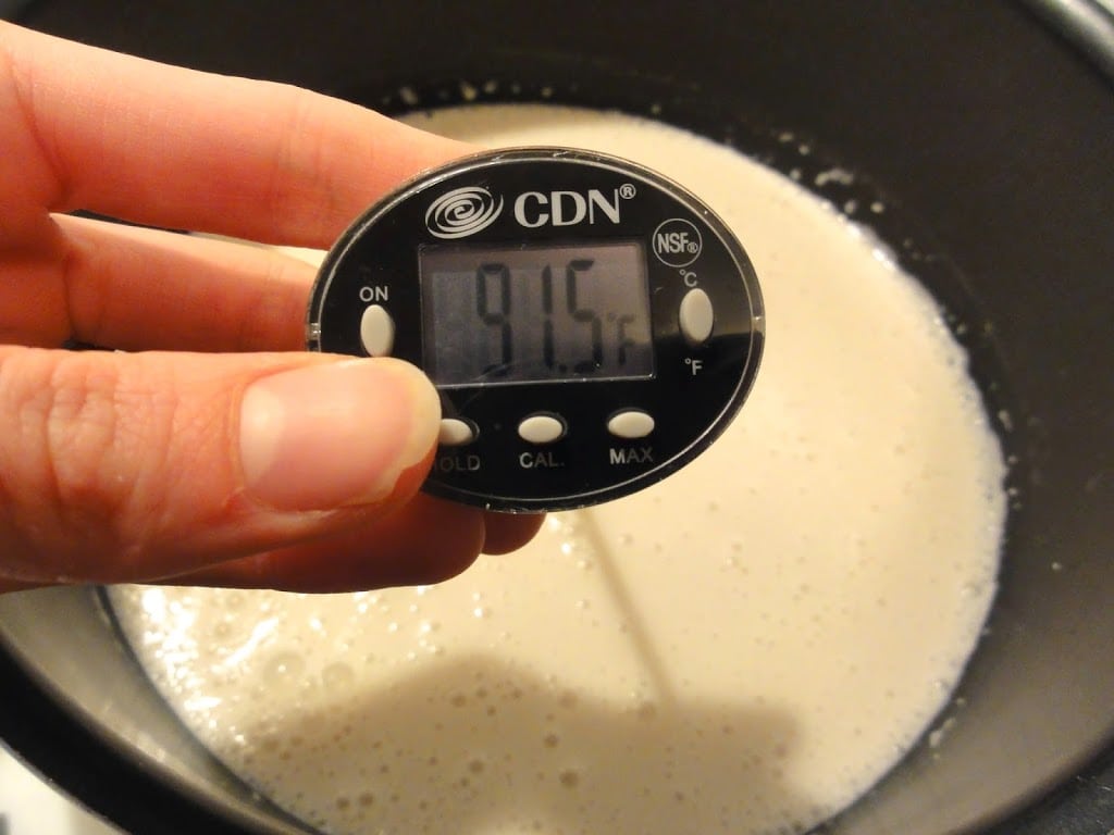 yogurt in crockpot at 91°F