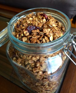 Chocolate Cranberry Granola