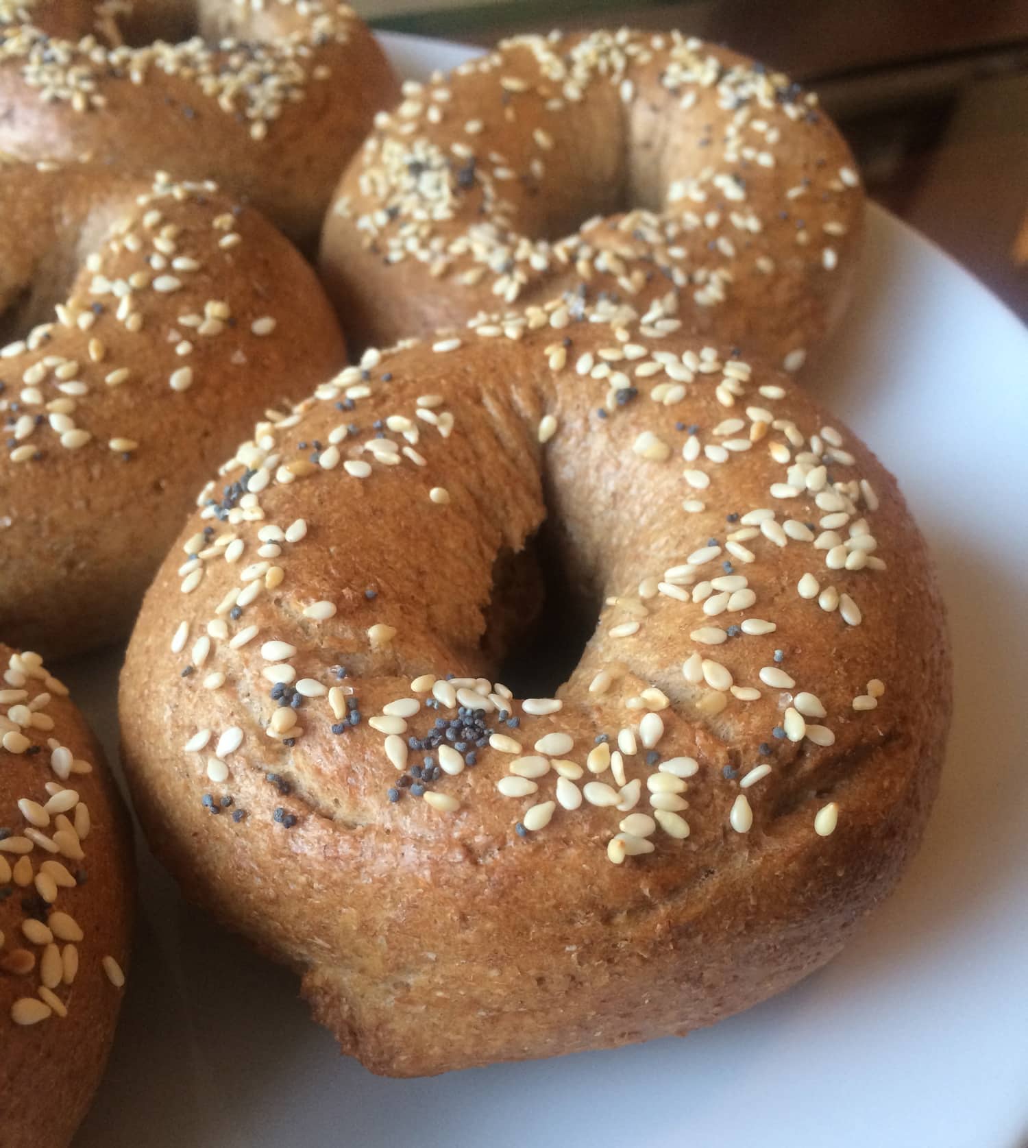 homemade-whole-wheat-bagels-the-conscientious-eater