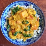 Vegan Vegetable Curry