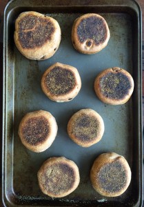 Whole Wheat Cinnamon Raisin English Muffins on a pan