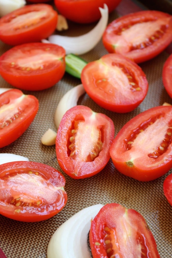 Easy Roasted Tomato Blender Salsa