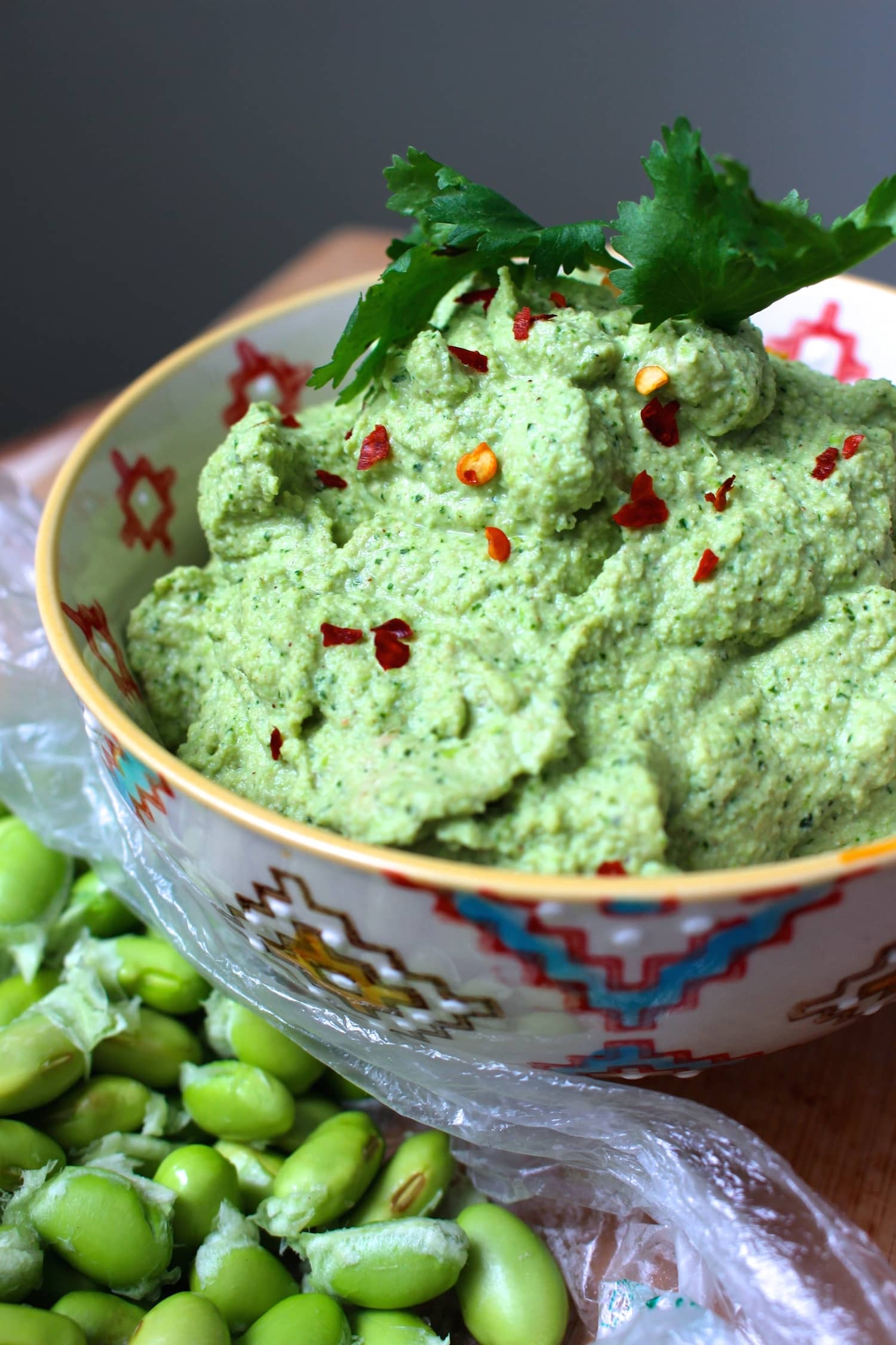 Oil-Free Edamame Hummus 1