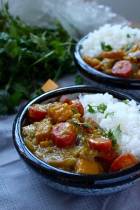 Pumpkin and Carrot Curry with white rice