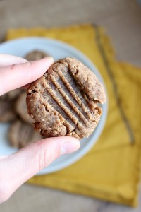 4 Ingredient Vegan Peanut Butter Cookies 2