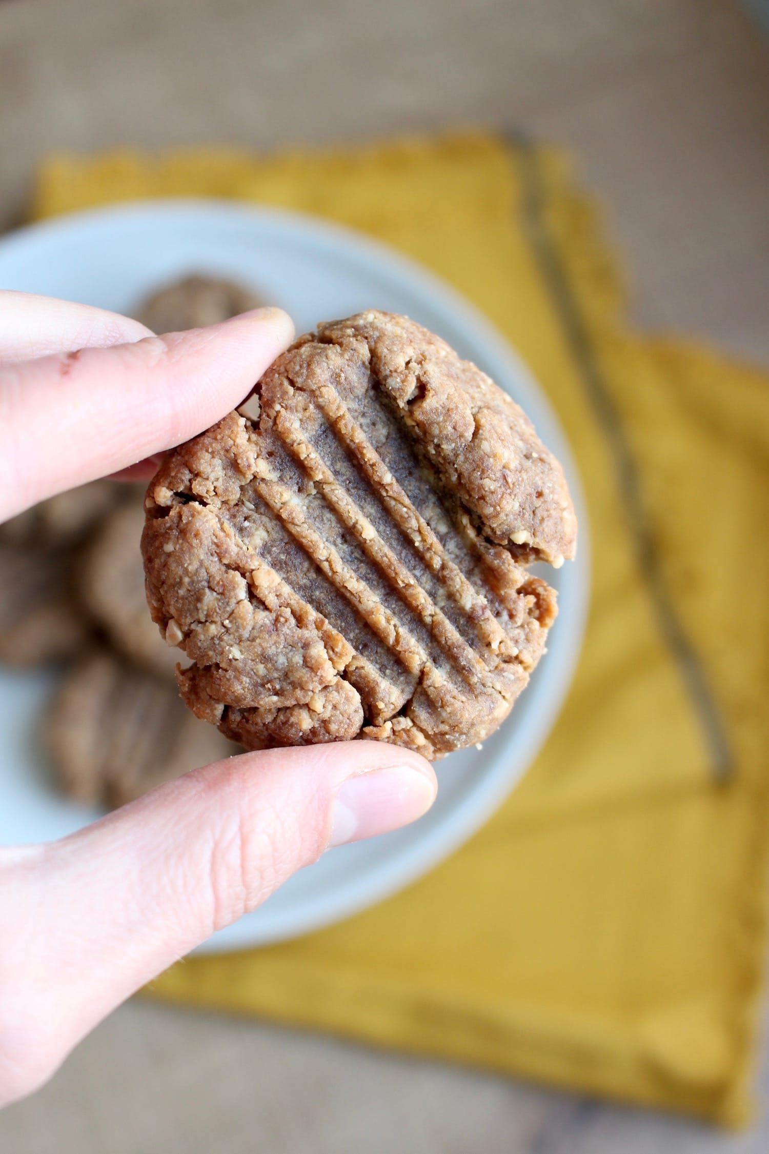 4 Ingredient Vegan Peanut Butter Cookies The Conscientious Eater