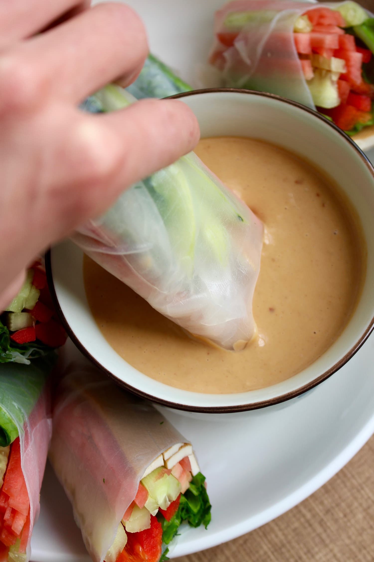 Homemade Spring Rolls with Low-Fat Peanut Sauce | The Conscientious Eater