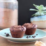 Low Fat Chocolate Peanut Butter Muffins for Two
