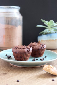 Low Fat Chocolate Peanut Butter Muffins for Two 3