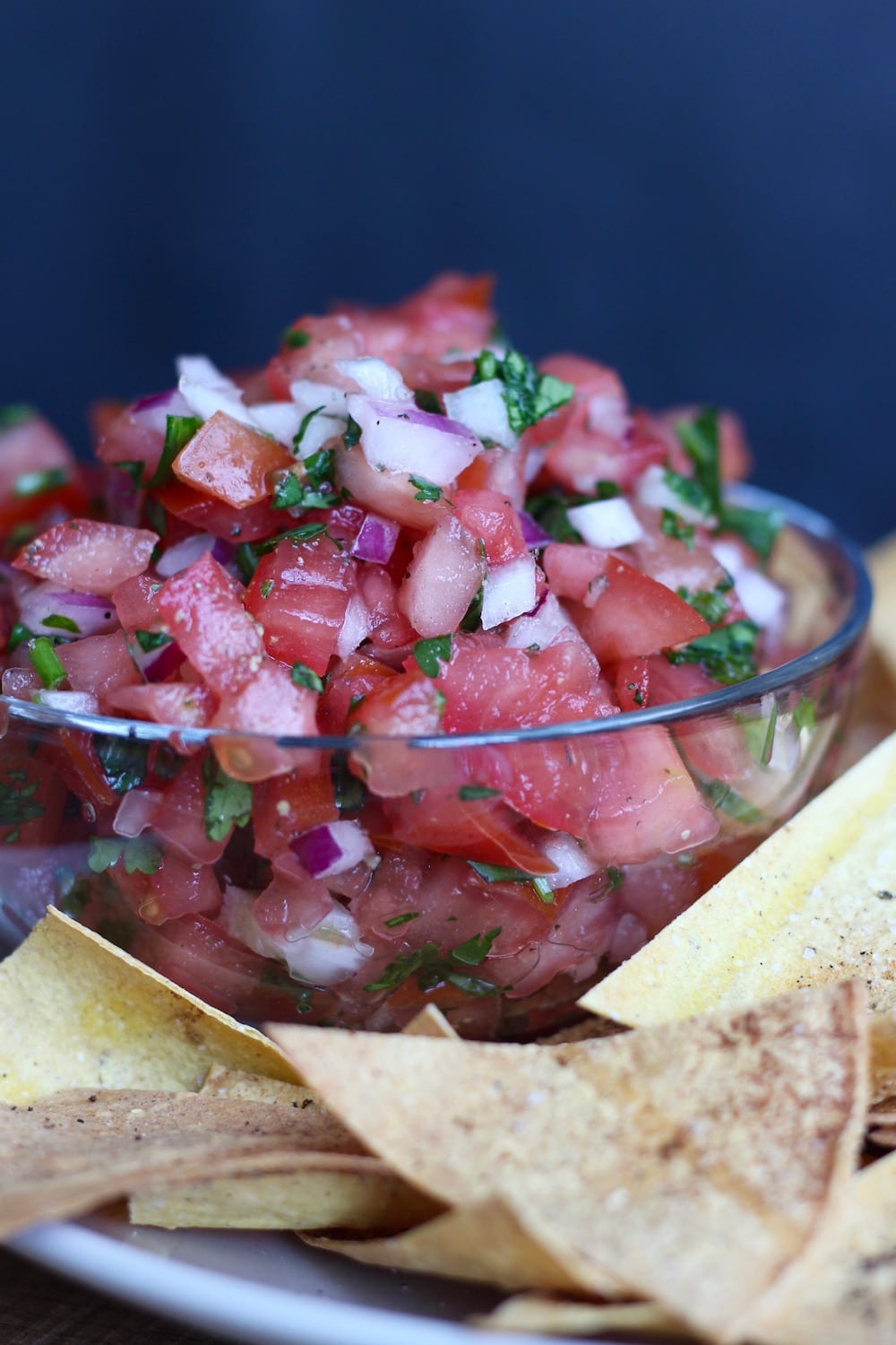 a bowl of salsa surrounded by homemade baked tortilla chips