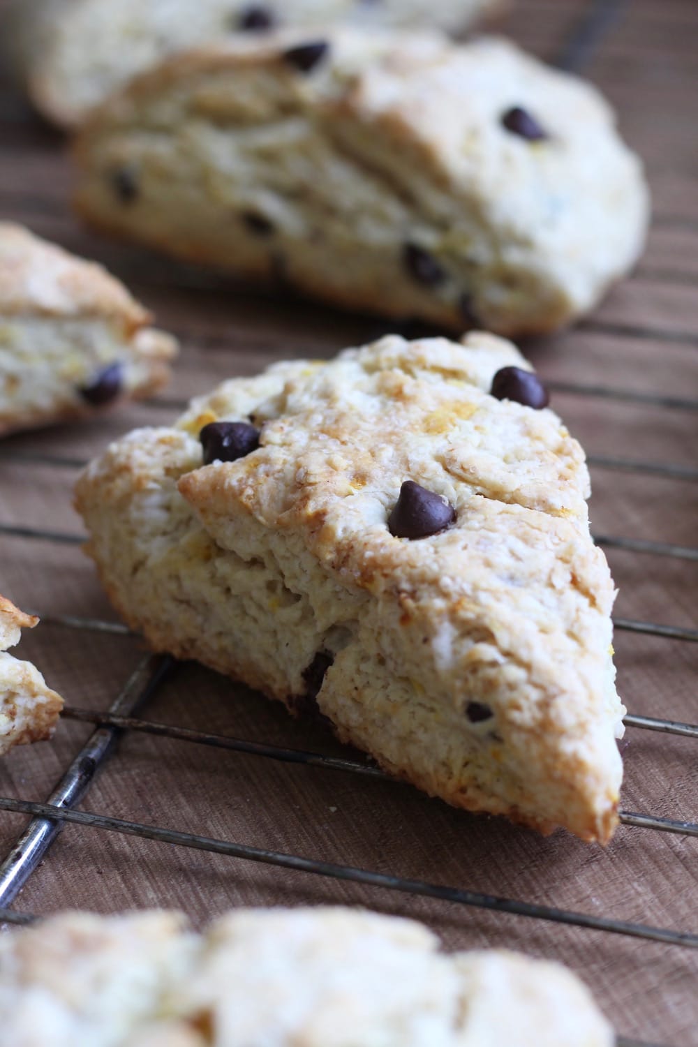 Vegan Orange Chocolate Chip Scones 