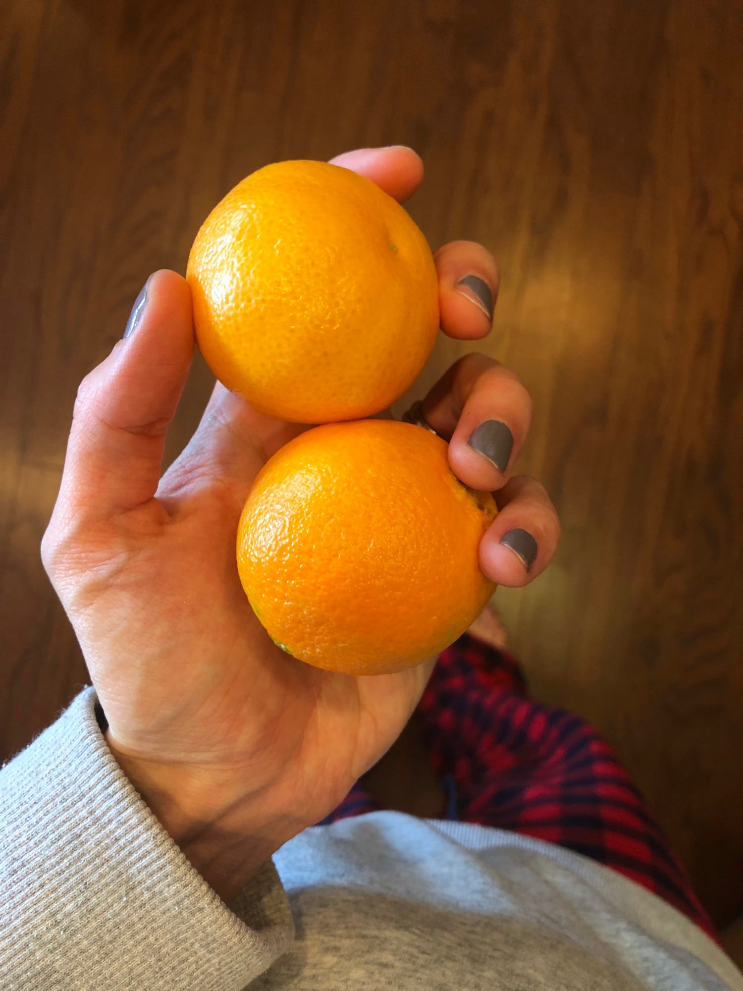 a hand holding two oranges