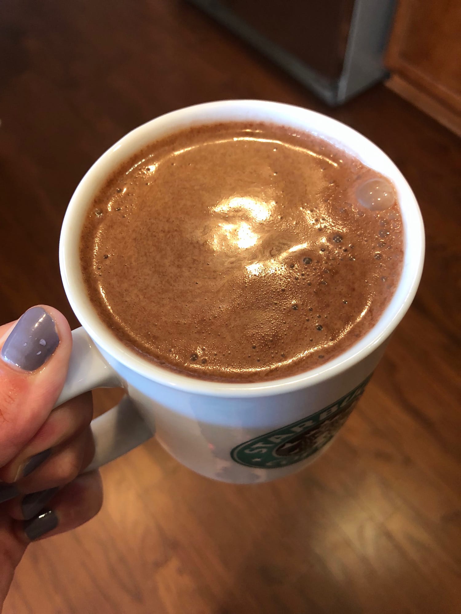 a hand holding Vegan Hot Chocolate in a mug