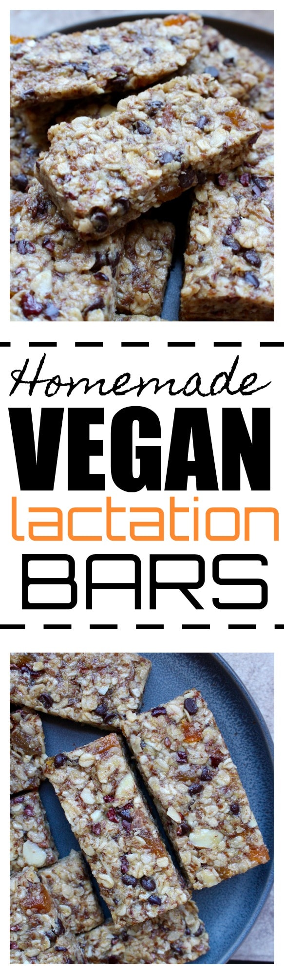 Homemade Vegan Lactation Bars