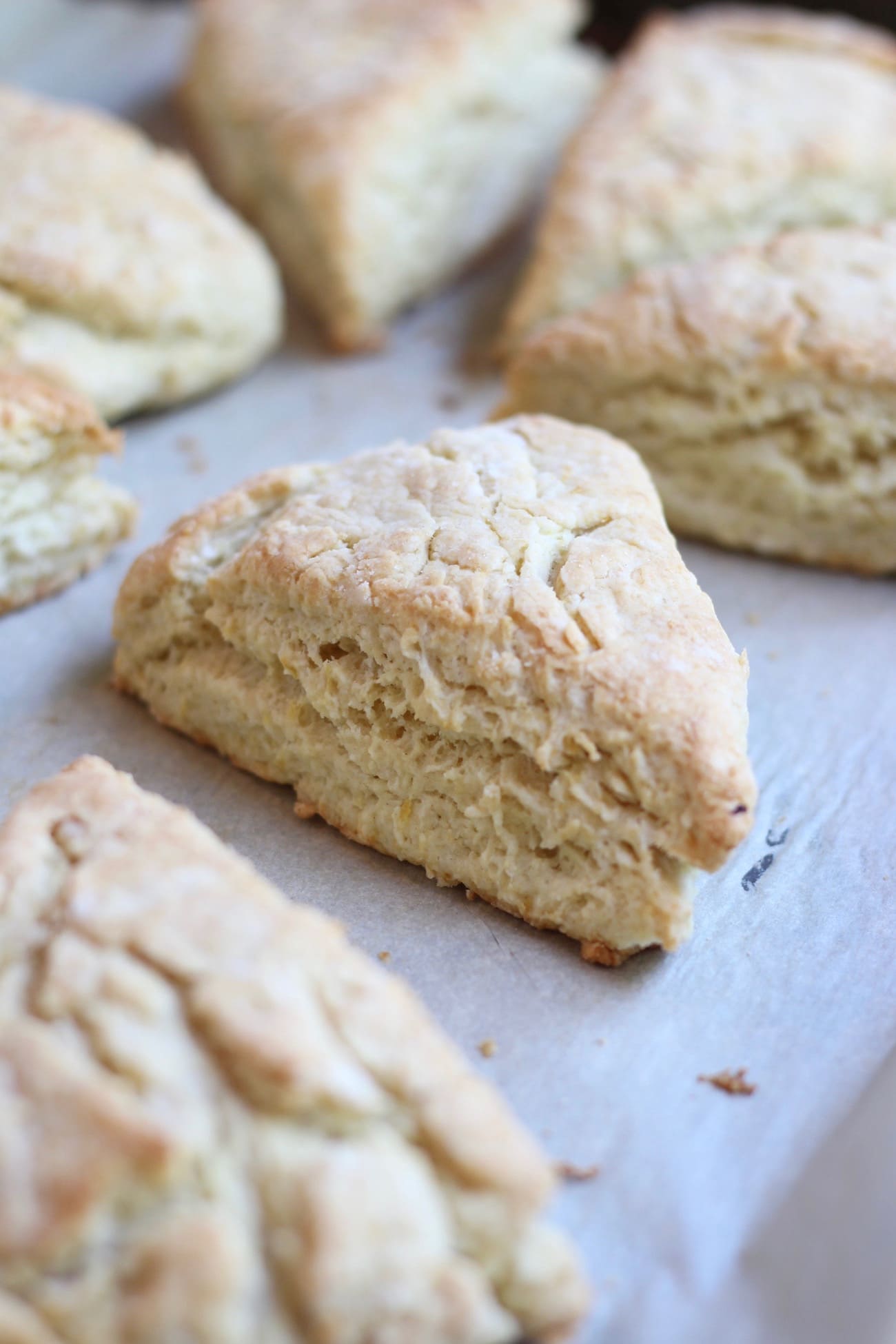 Lemon scone fresh out of the oven