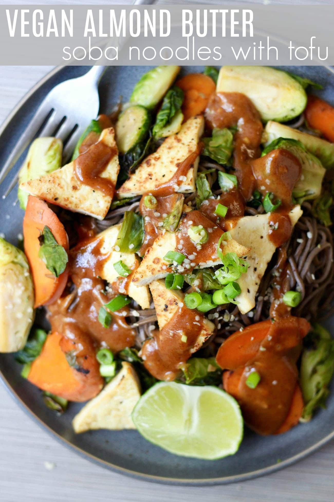 Vegan Soba Noodle Recipe! - The Conscientious Eater