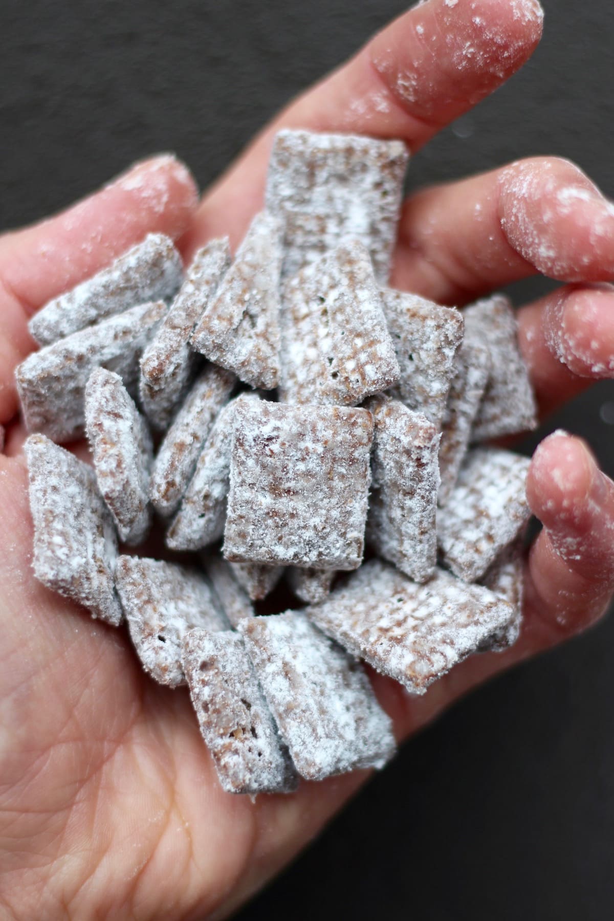 a handful of crunchy, chocolatey puppy chow