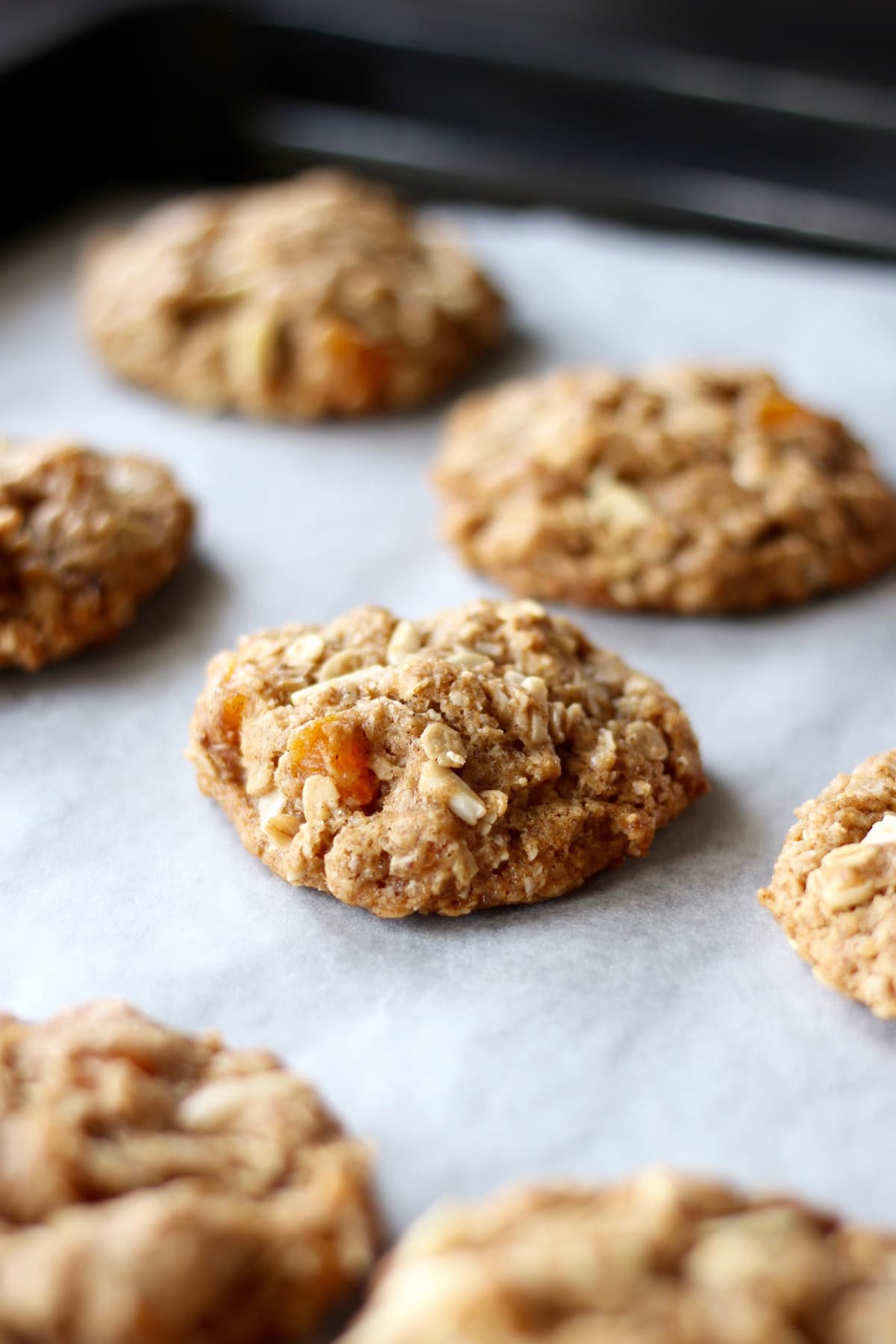 Vegan oatmeal cookies on a baking sheet just after baking