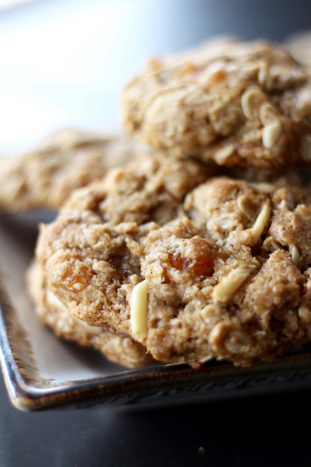 Vegan Chewy Oatmeal Apricot Almond Cookies 