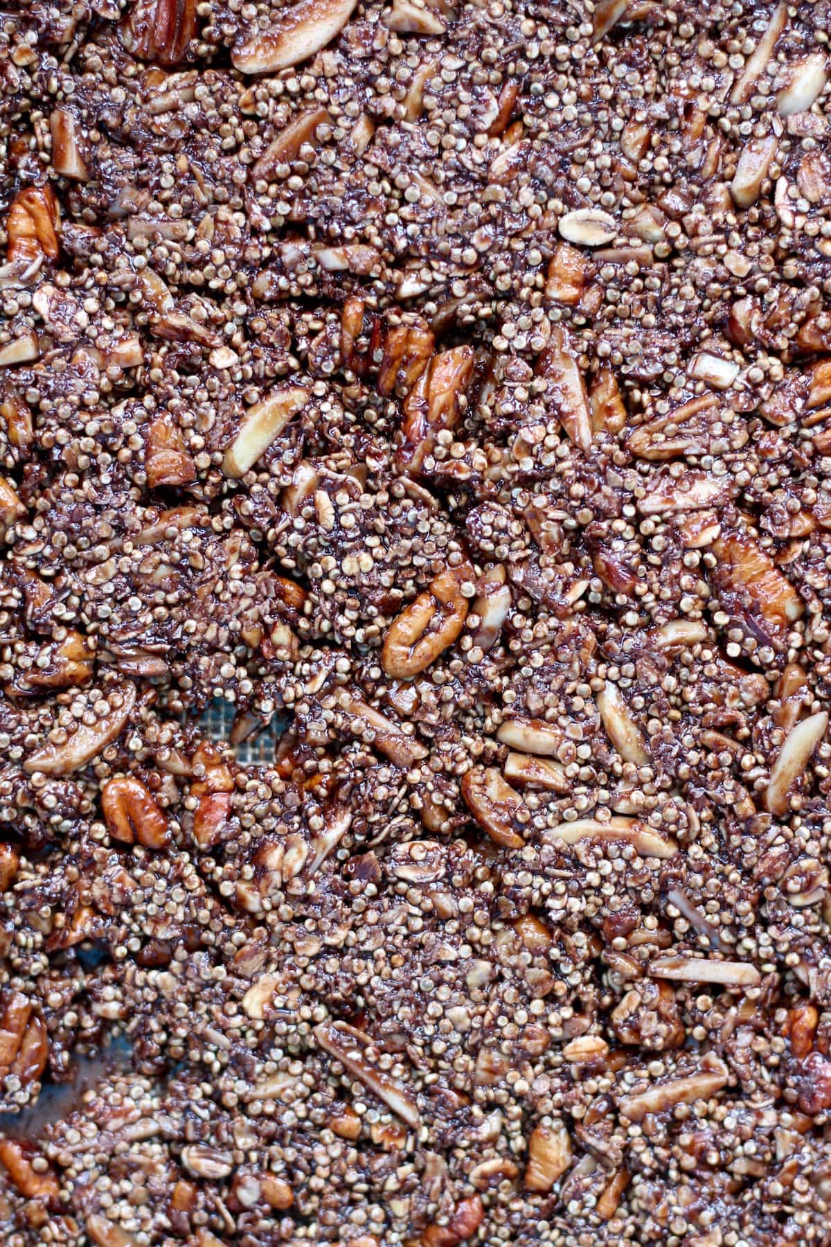 chocolate quinoa granola pressed flat on a baking tray