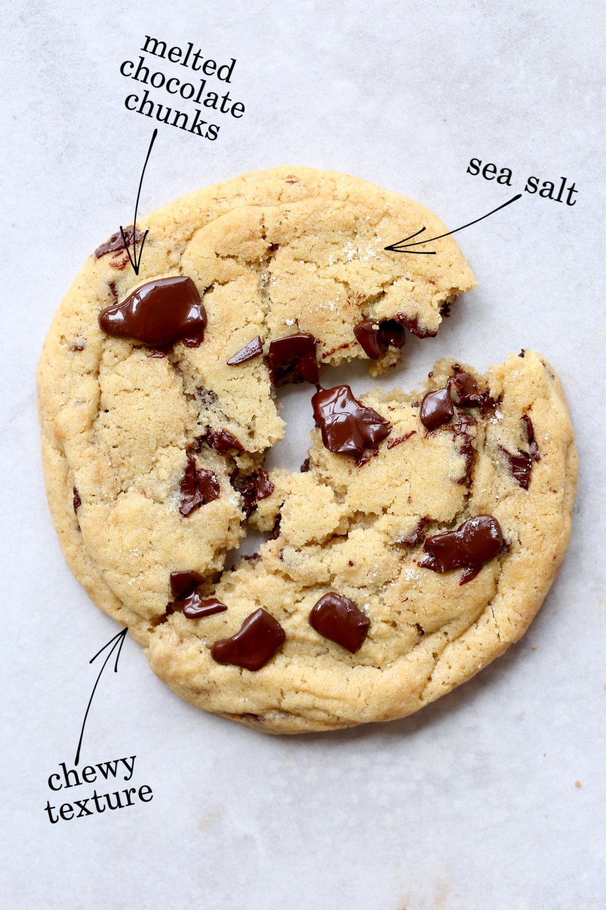 the details of a jumbo chocolate chip cookie outlined