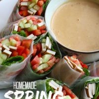 Homemade Spring Rolls with Low-Fat Peanut Sauce-image