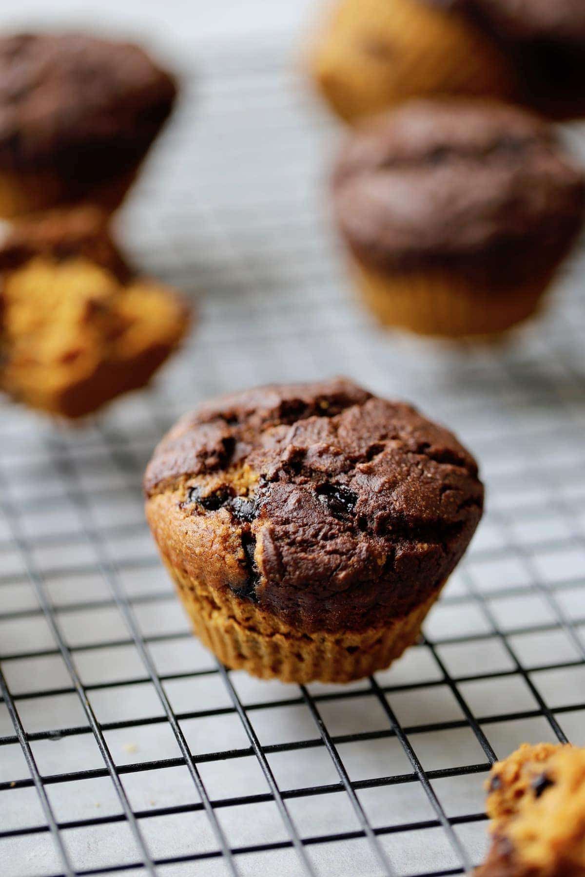 Pumpkin and Chocolate Layered Muffins cooling on a rack