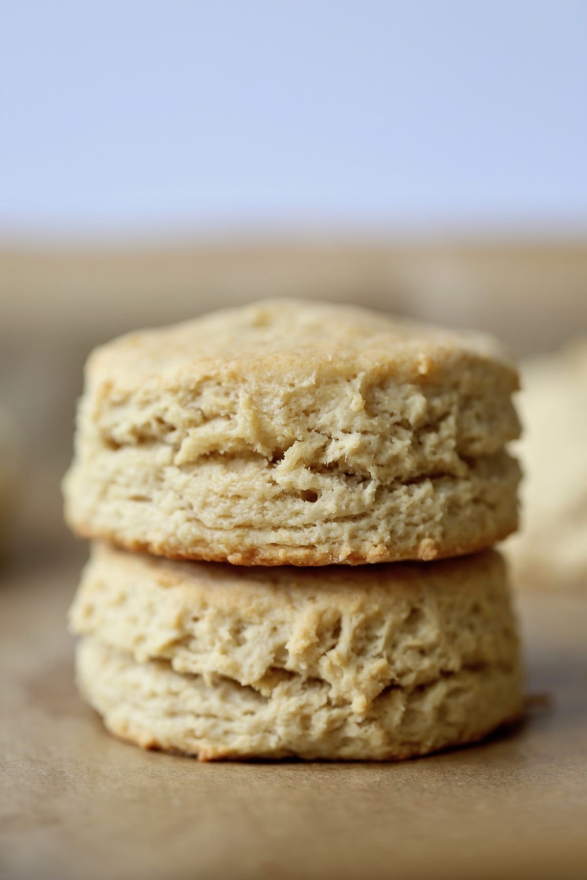 Easy Vegan Biscuits The Conscientious Eater