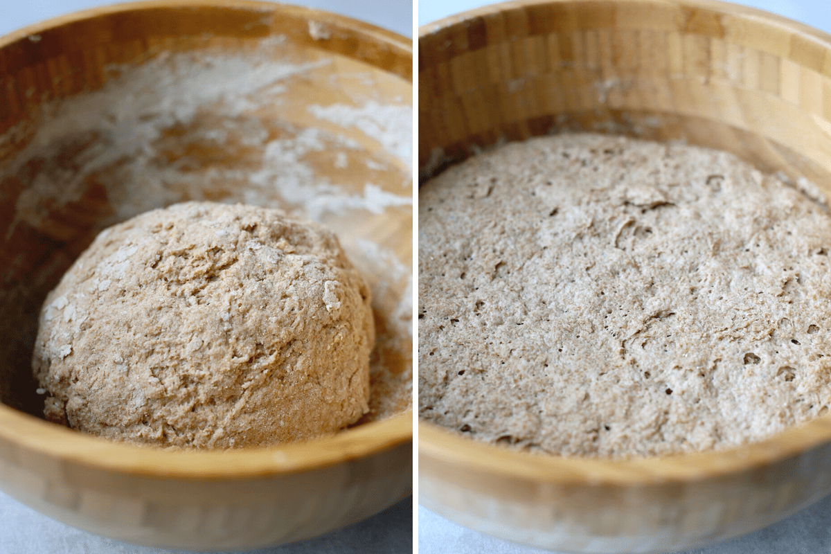 whole wheat artisan bread dough before and after it's risen