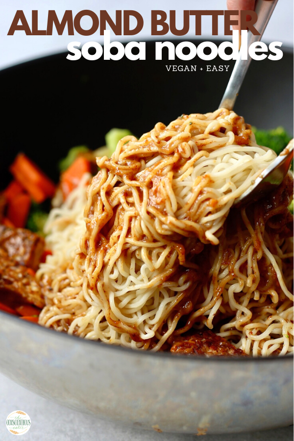 Vegan Soba Noodle Recipe! - The Conscientious Eater