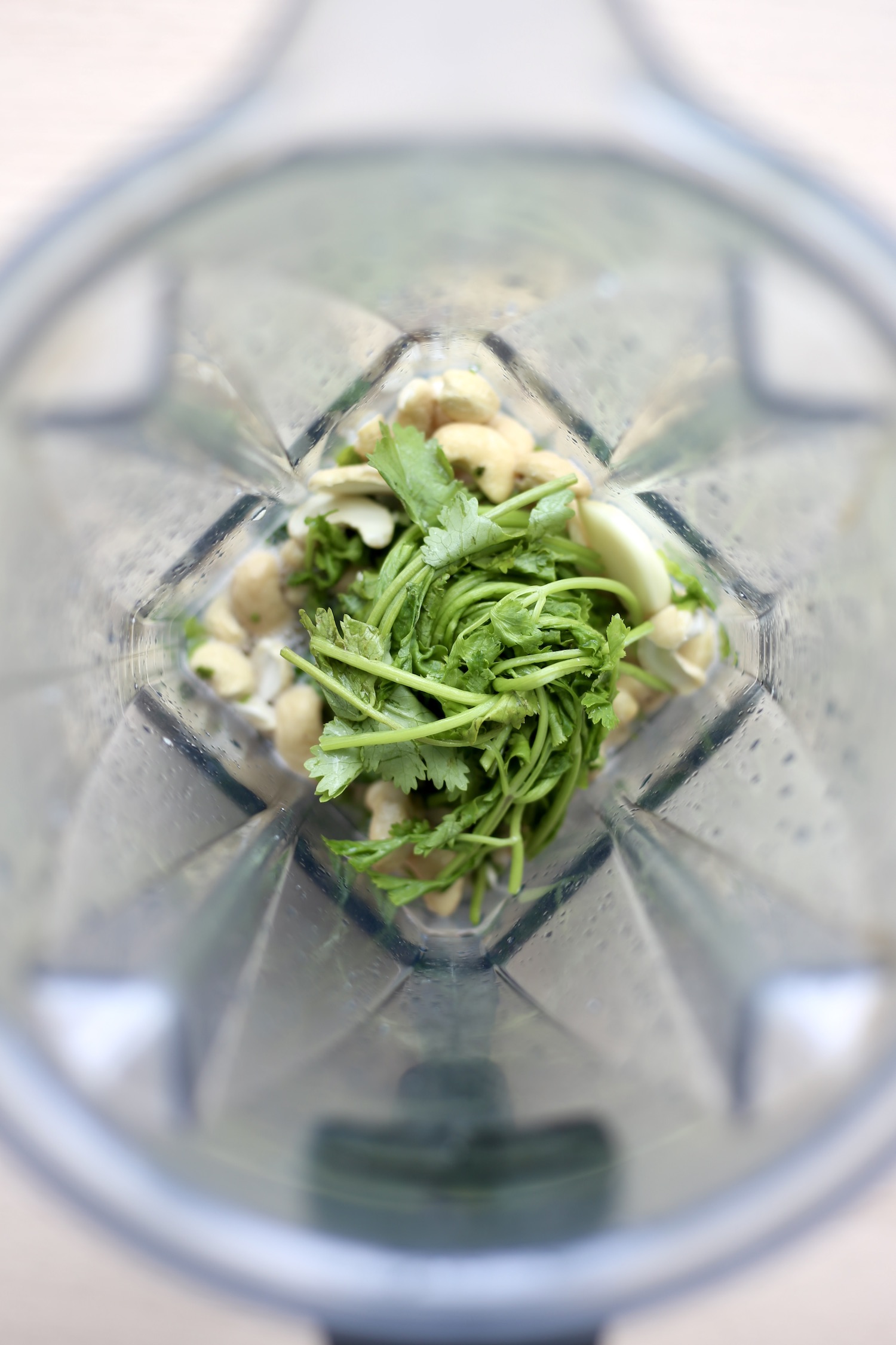 Cashews, garlic, cilantro and water in a vitamix blender. 