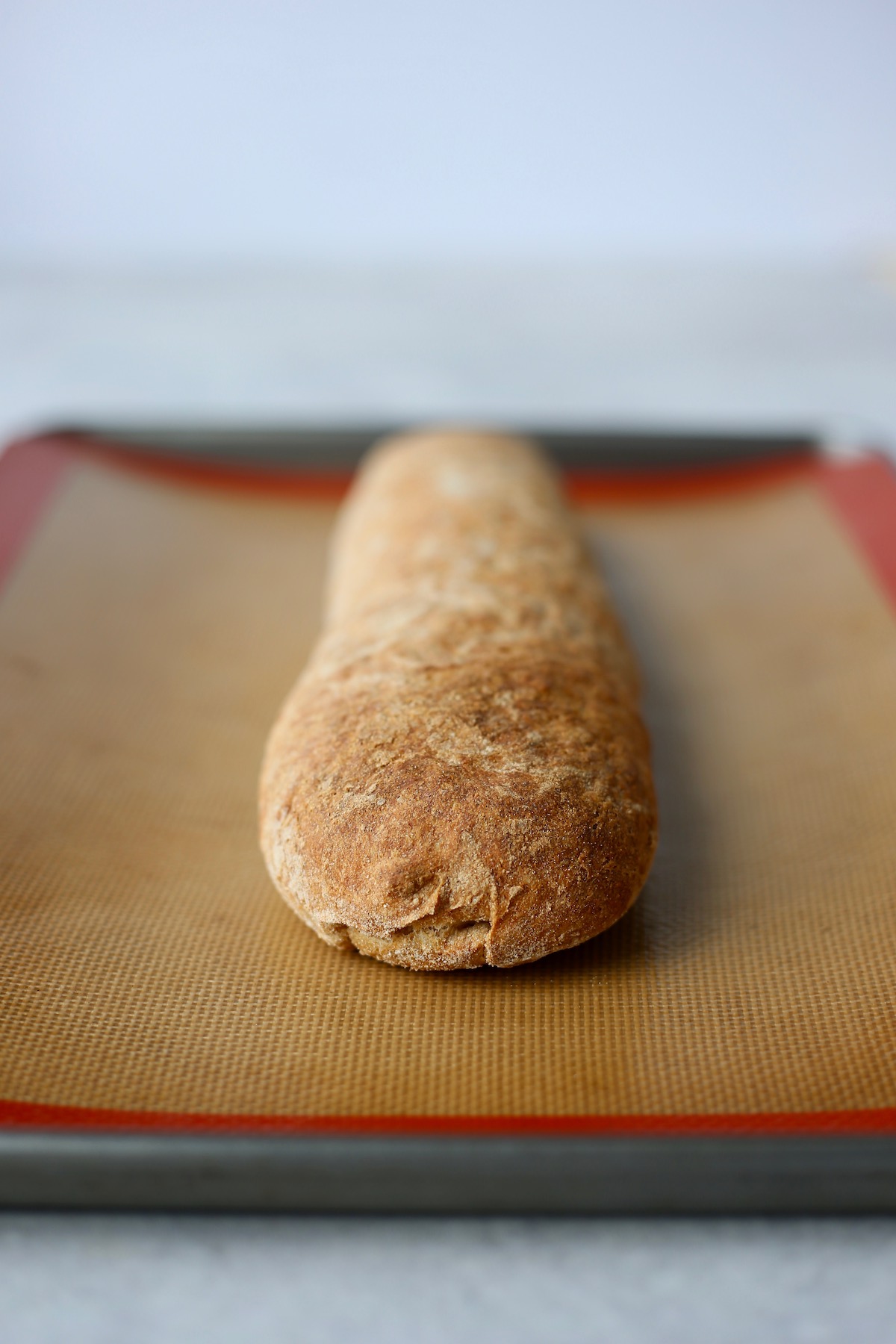 a tasty italian bread roll