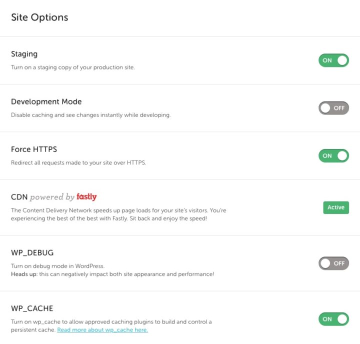 screenshot of Flywheel' site options