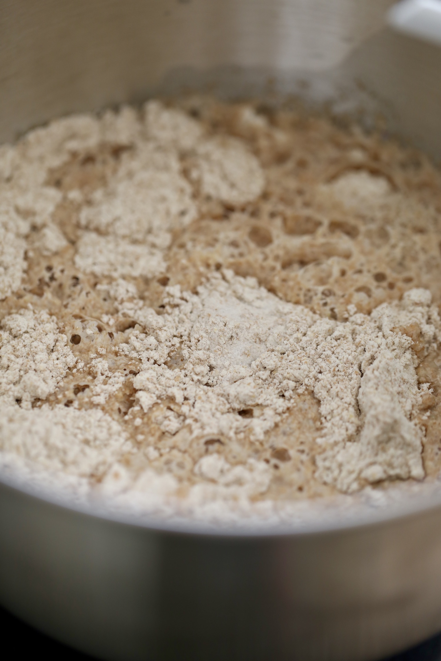 A silver stand mixer bowl filled with whole wheat flour, yeast, salt and water.