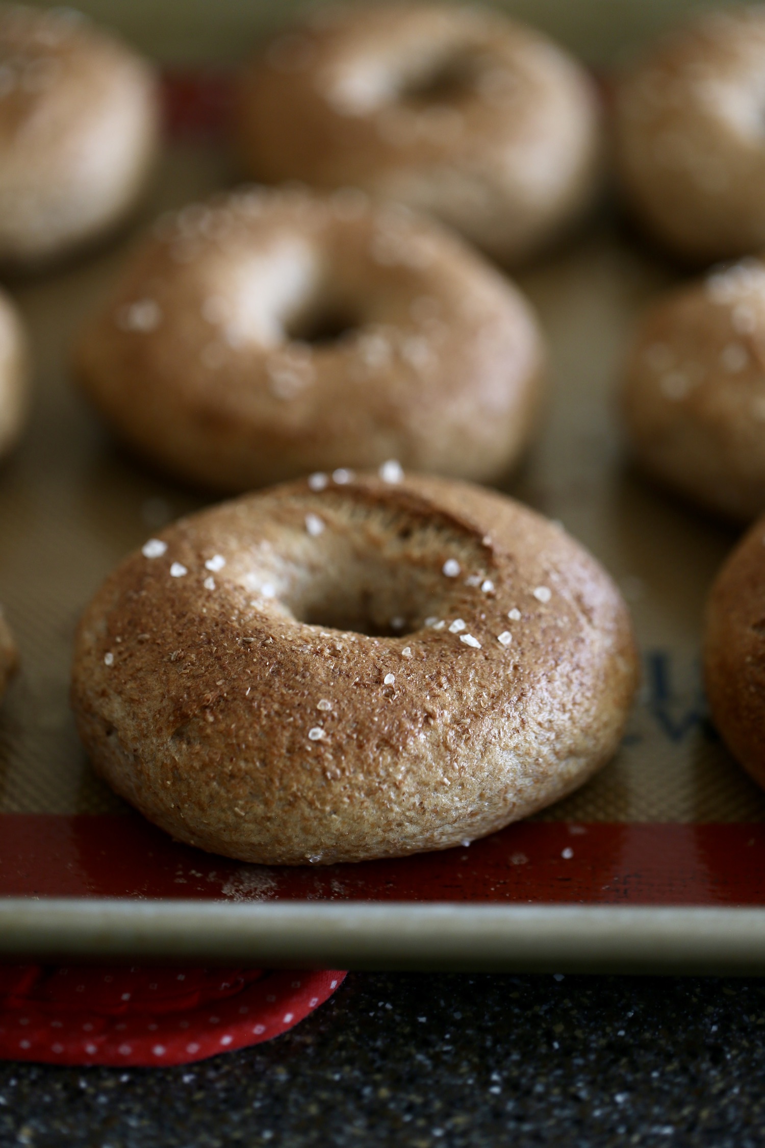 A homemade whole wheat bagel sprinkled with salt on a silver baking sheet after it's been pulled out of the oven. 