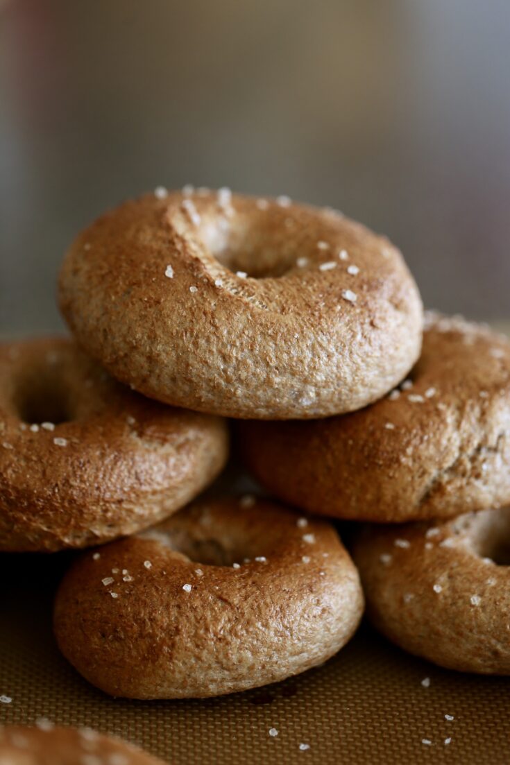 Homemade Whole Wheat Bagel Recipe! The Conscientious Eater