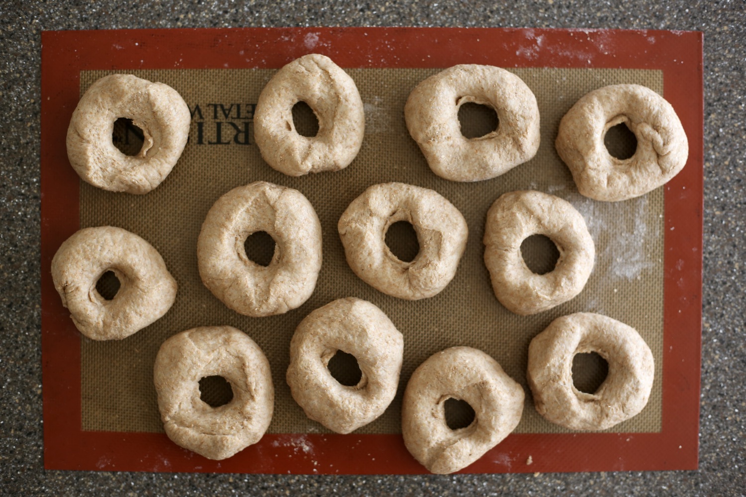 12 bagel shaped pieces of dough