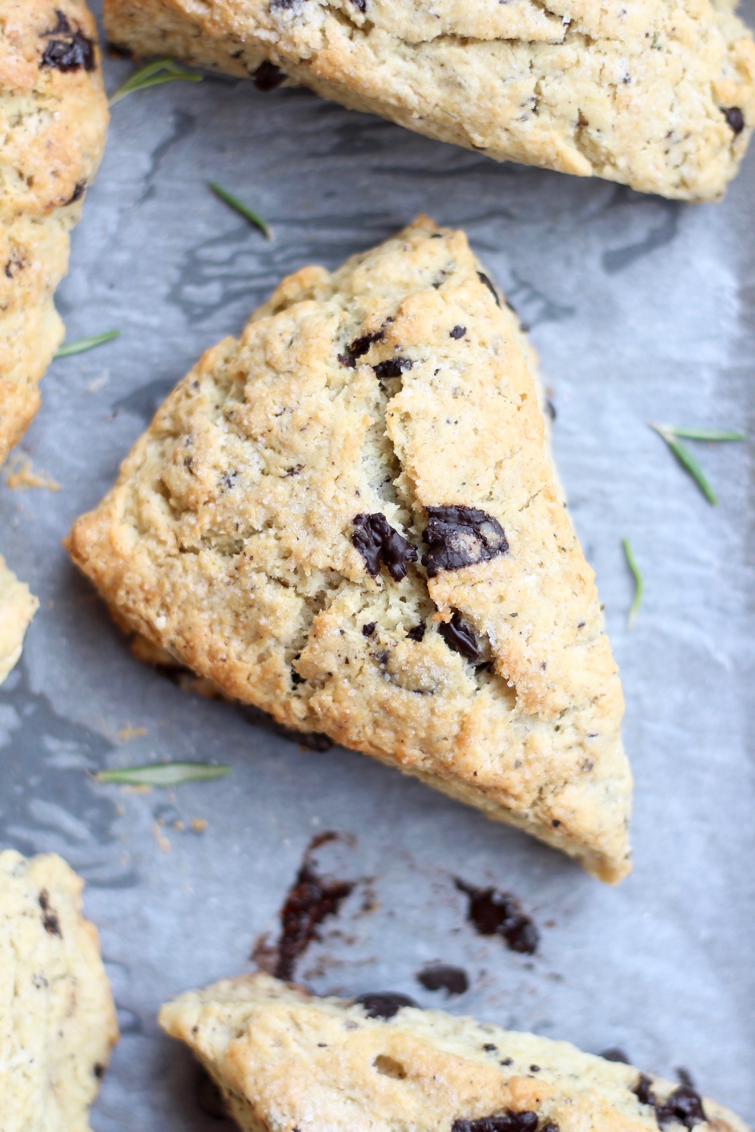 a large vegan scone flavored with fresh rosemary and chocolate chunks 