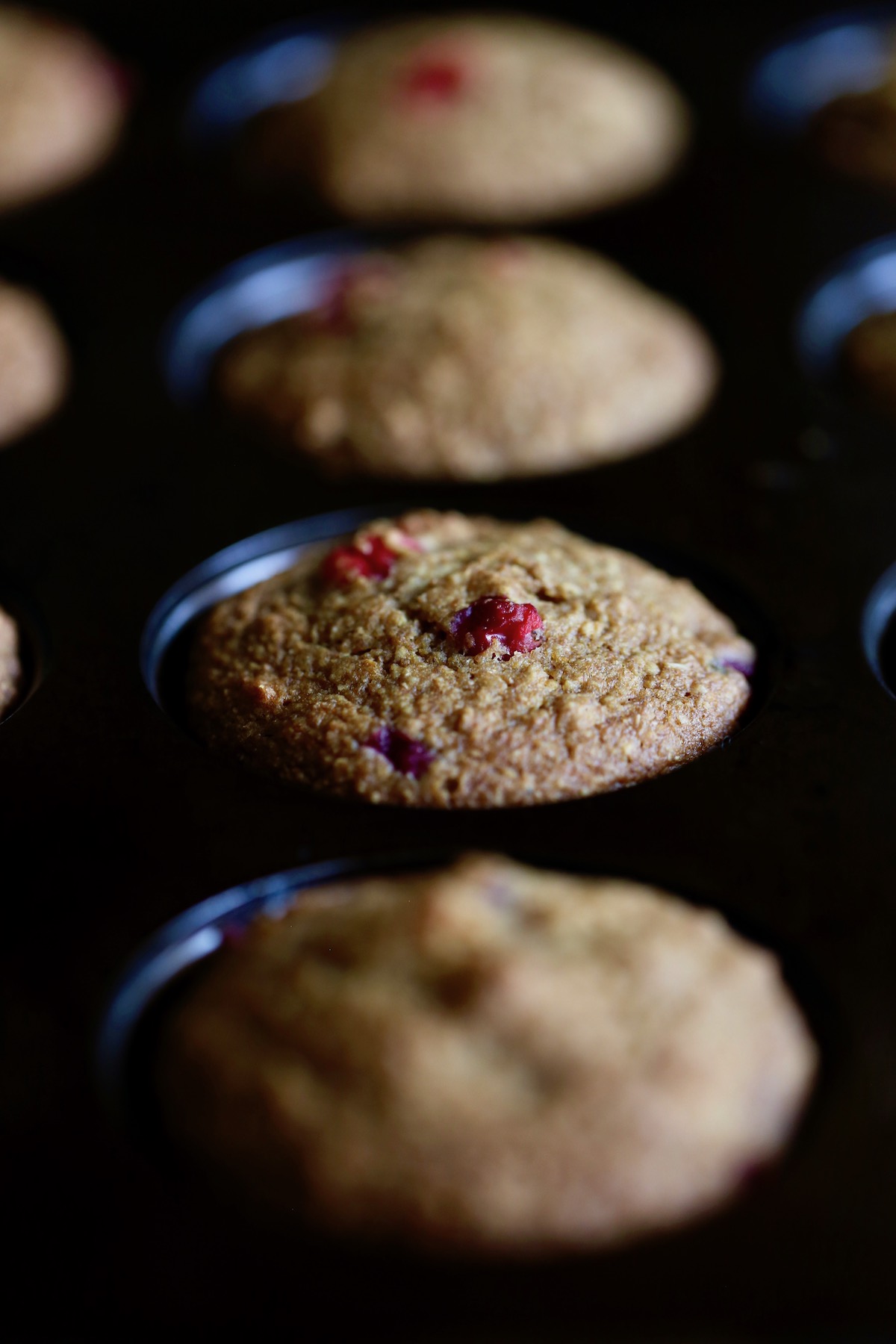 cranberry orange muffins still in the muffin tray just after baking 