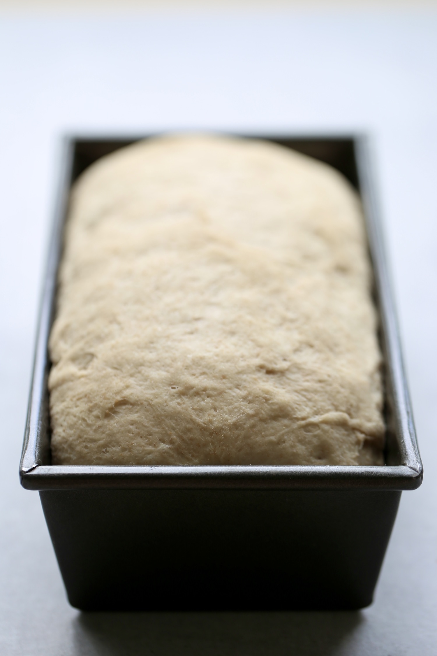 Sourdough bread dough in a loaf pan after its risen the second time. 